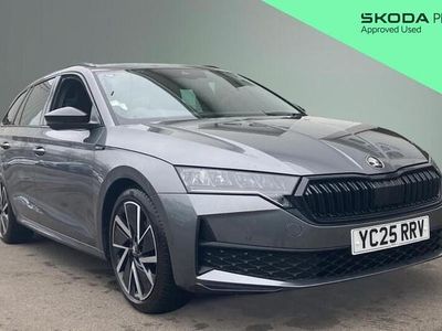 Used Skoda Octavia SportLine 150 HP (110 kW) 2025 Grey Estate