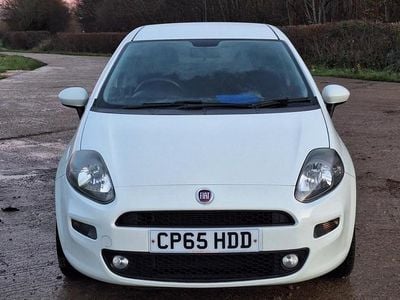 White Used 2016 Fiat Punto Easy Hatchback | £4,499 (Fair price)