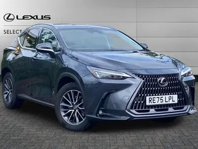 Used Lexus NX350h