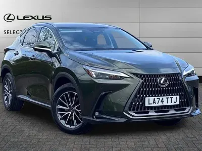 Used Lexus NX350h 243 HP (178 kW) 2025 Green SUV