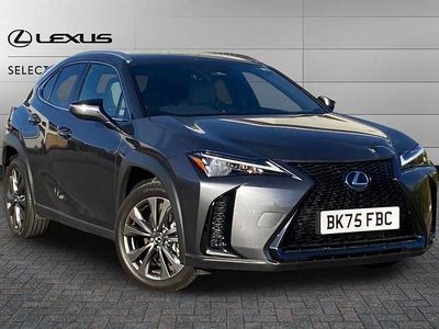 Used Lexus UX 300h Sport Design Packet 199 HP (146 kW) 2025 Grey SUV
