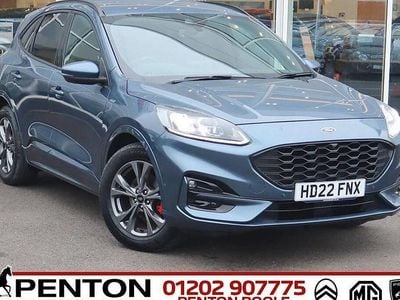 Used Ford Kuga ST-Line 150 HP (110 kW) 2022 Blue SUV