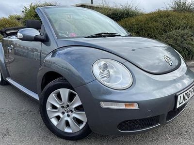 VW Beetle