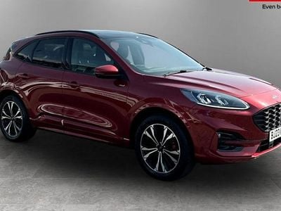 Used Ford Kuga ST-Line X 224 HP (164 kW) 2023 SUV