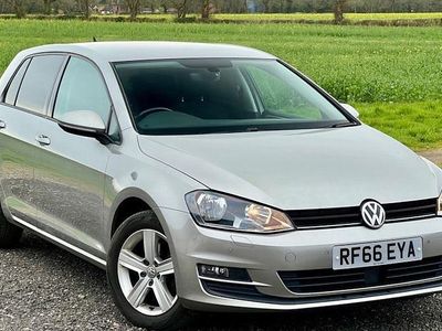 Used VW Golf VII Edition 125 HP (91 kW) 2016 Hatchback