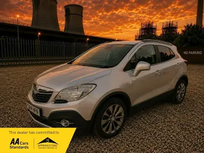 Used Vauxhall Mokka S 115 HP (84 kW) 2014 Silver SUV
