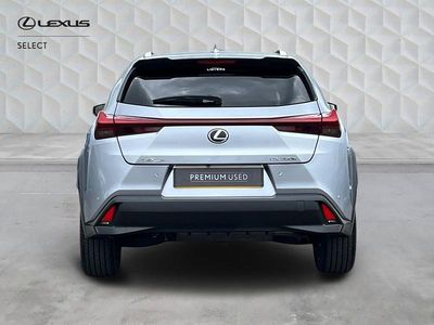 Used Lexus UX 250h 2023 Silver SUV