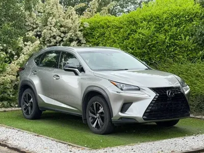 Used Lexus NX300h Sport Line 2019 SUV