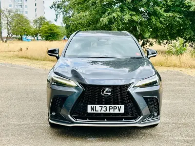 Used Lexus NX350h Sport Line 2023 Grey Estate