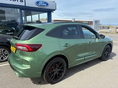 Usado Ford Kuga ST-Line X 183 CV (134 kW) 2025 Verde SUV
