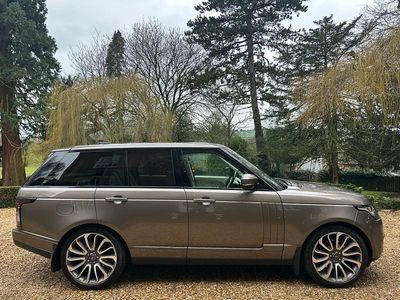 Used Land Rover Range Rover Vogue SE 258 HP (189 kW) 2017 Brown SUV