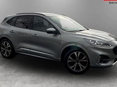 Used Ford Kuga ST-Line X 190 HP (139 kW) 2023 SUV