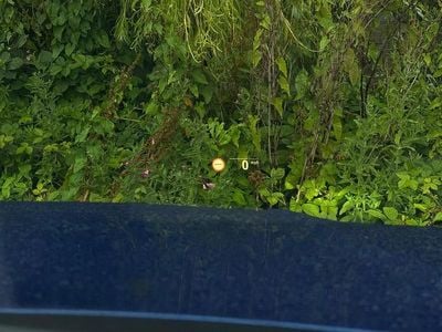 Used BMW 330e M Sport 292 HP (214 kW) 2020 Sedan