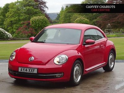 VW Beetle