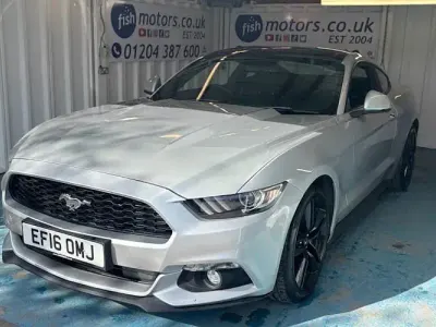 Used Ford Mustang