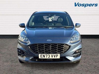 Used Ford Kuga ST-Line X 187 HP (137 kW) 2024 Blue SUV