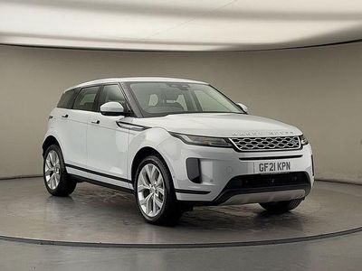 Used Land Rover Range Rover evoque SE 166 HP (122 kW) 2020 Yulong white SUV