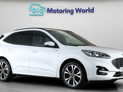 Used Ford Kuga ST-Line X 150 HP (110 kW) 2023 White SUV
