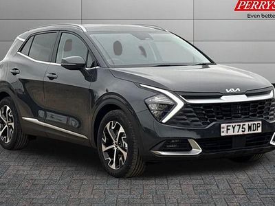 Used Kia Sportage 159 HP (116 kW) 2024 SUV