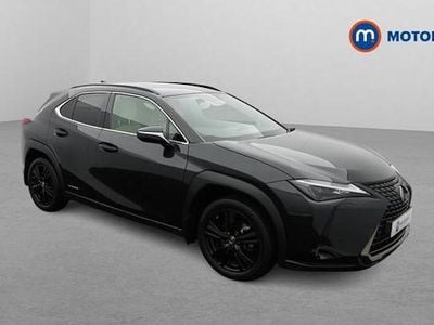 Used Lexus UX 250h 184 HP (135 kW) 2024 SUV