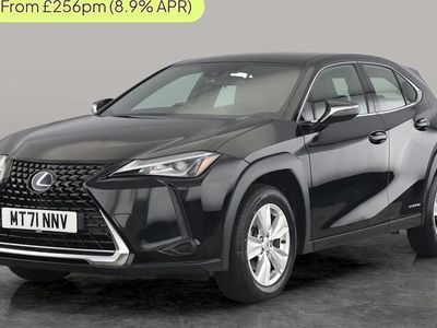 Used Lexus UX 250h 184 HP (135 kW) 2024 SUV