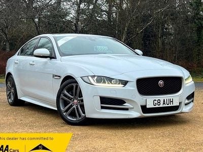 Used Jaguar XE R-Sport 180 HP (132 kW) 2016 White Sedan