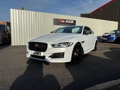 Used Jaguar XE R-Sport 180 HP (132 kW) 2015 White Sedan