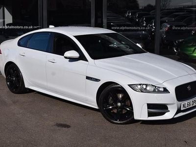 Used Jaguar XF R-Sport 180 HP (132 kW) 2016 White Sedan