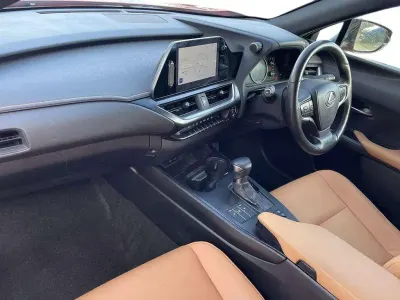 Usado Lexus UX 250h