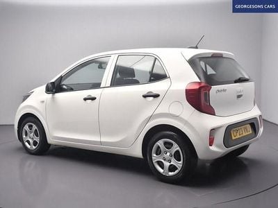 Used Kia Picanto 66 HP (48 kW) 2023 White Hatchback