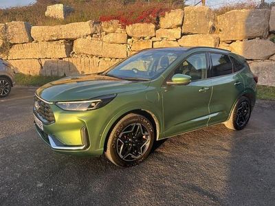 Used Ford Kuga ST-Line X 243 HP (178 kW) 2024 Green SUV
