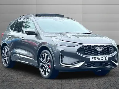 Used Ford Kuga ST-Line X 243 HP (178 kW) 2025 Magnetic SUV
