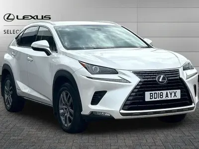 Used Lexus NX300h Luxury Line 197 HP (144 kW) 2018 White SUV