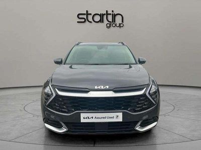 Used Kia Sportage 180 HP (132 kW) 2023 Grey SUV