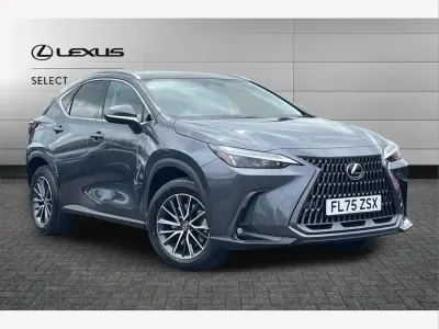 Used Lexus NX450h+ 309 HP (227 kW) 2025 Grey SUV