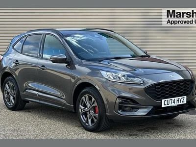 Used Ford Kuga ST-Line 221 HP (162 kW) 2024 Grey SUV