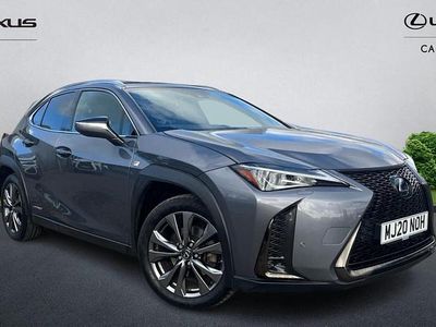 Used Lexus UX Sport Line 184 HP (135 kW) 2020 Grey SUV