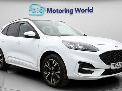 Used Ford Kuga ST-Line X 224 HP (164 kW) 2023 SUV