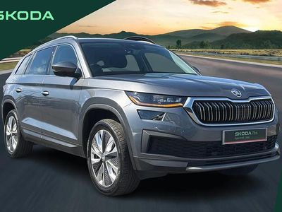 Used Skoda Kodiaq SE L Executive 147 HP (108 kW) 2024 Grey SUV