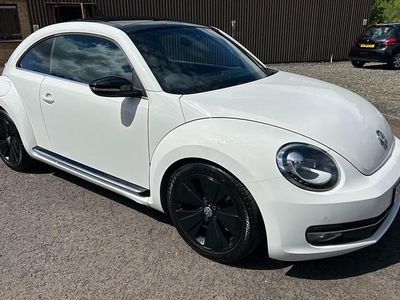VW Beetle