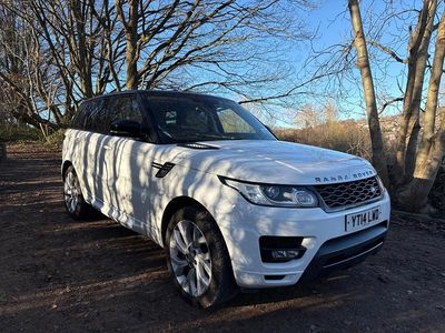 White Used 2014 Land Rover Range Rover Sport HSE Dynamic SUV | £11,995 (Fair price)