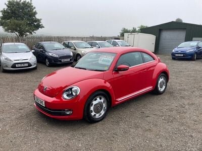 VW Beetle