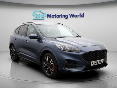 Used Ford Kuga ST-Line X 222 HP (163 kW) 2023 SUV