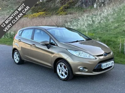 Used Ford Fiesta Zetec 81 HP (59 kW) 2012 Brown Hatchback