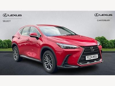 Used Lexus NX350h 2024 Red Estate