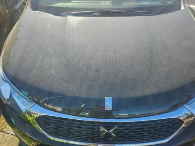 Usado DS Automobiles DS4
