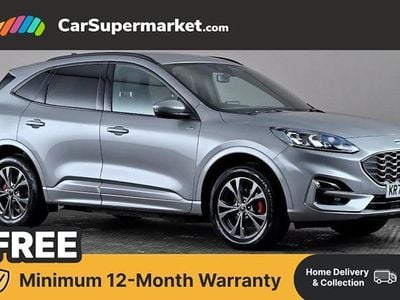 Used Ford Kuga ST-Line 224 HP (164 kW) 2023 Silver SUV