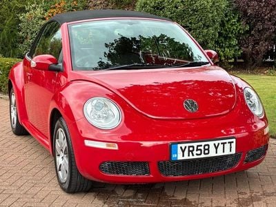 VW Beetle