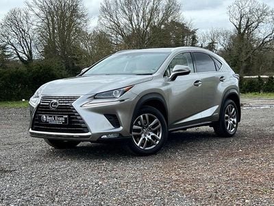 Used Lexus NX300h Luxury Line 2018 Silver SUV