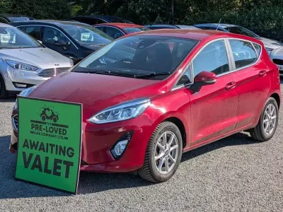 Used Ford Fiesta Zetec 70 HP (51 kW) 2018 Red Hatchback